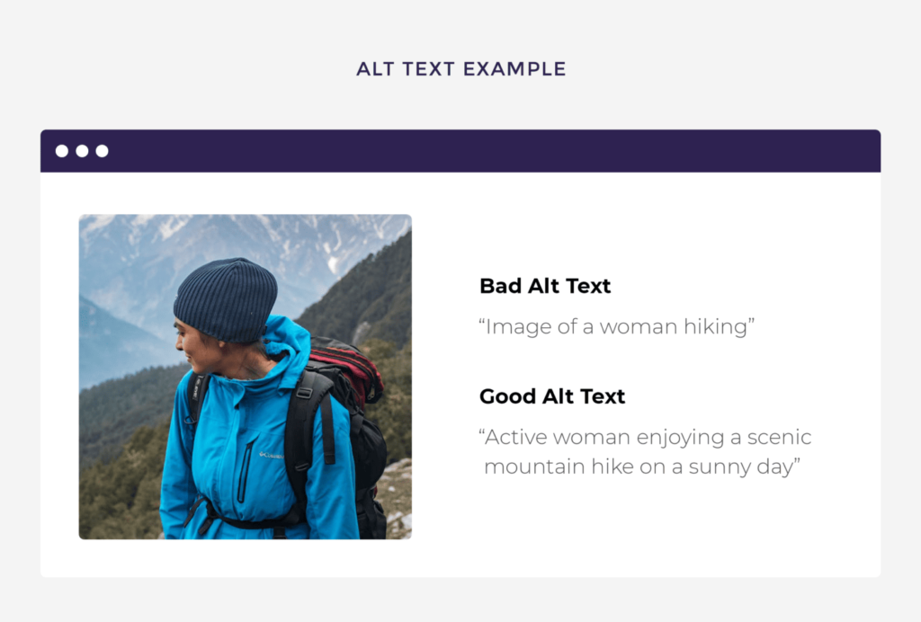 alt-text-example